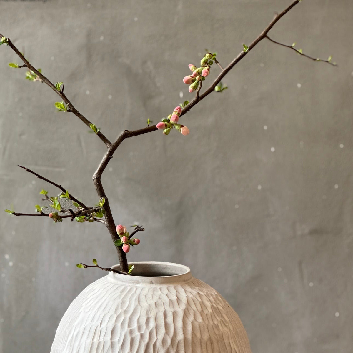 Handmade Carved Moon vase- Big
